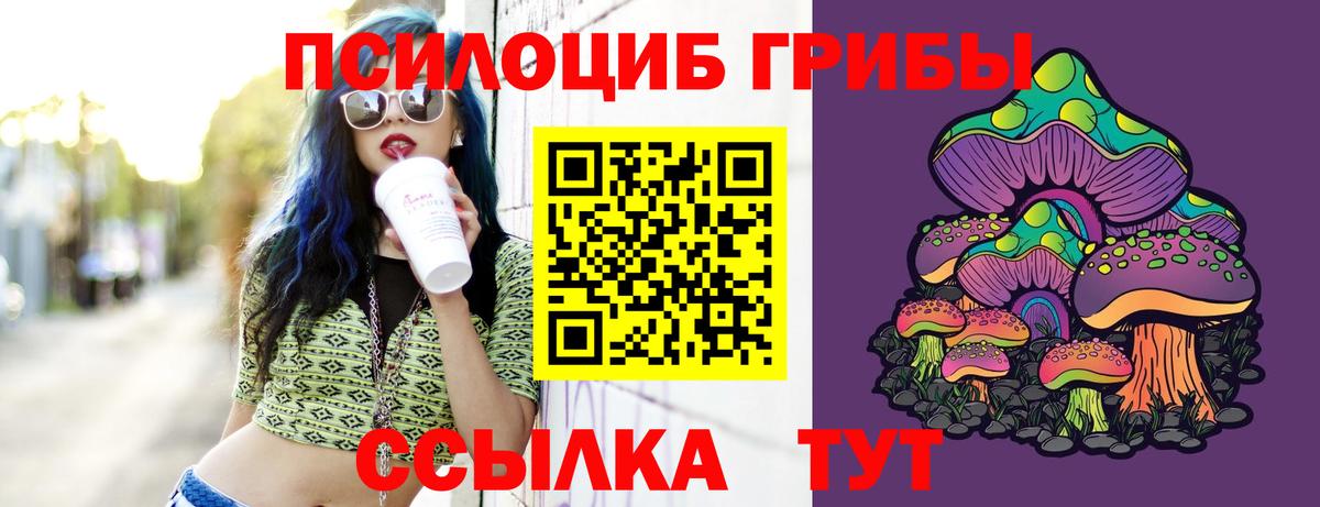 Псилоцибиновые грибы MAGIC MUSHROOMS  Вход с VPN  Саянск 